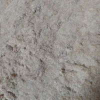 کاه|لوازم جانبی حیوانات|گنبد کاووس, |دیوار