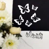 نقاشی حرفه ای روی مقنعهی معلم و دانش آموزش|لباس|مشهد, پروین اعتصامی|دیوار