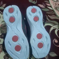 کتانی اسکیچرز|کیف، کفش، کمربند|الوند, |دیوار