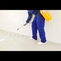فروش سم انواع حشرات ساس سوسک پرند رباط کریم و