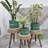 گل‌طبیعی
