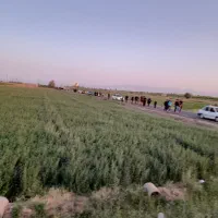 یک قطعه زمین کشاورزی