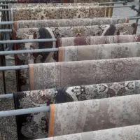 قالیشوی ملایری در پاکدشت‌وشریف اباد۳۶۱۶۰۵۳۰|خدمات نظافت|پاکدشت, پاکدشت (مامازند)|دیوار