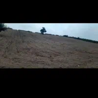 فروش زمین در شهرک صنعتی فاز یک|فروش زمین و ملک کلنگی|نکا, |دیوار