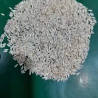 برنج عنبربو لوکس|خوردنی و آشامیدنی|شیراز, فرگاز|دیوار