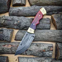 چاقو کلکسیونی