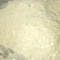 شهاب سنگ قمری|کلکسیون اشیاء عتیقه|شیراز, کوشک میدان|دیوار