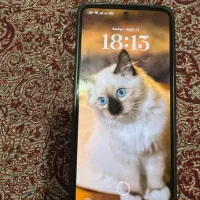 شیامی نوت ۱۳