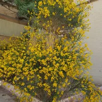 به یک مراقب و بهیار آقا نیازمندیم