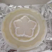 لوازم رزین اپوکسی|صنایع دستی و سایر لوازم تزئینی|نقده, |دیوار