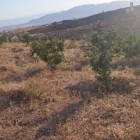 باغشهری-ابپرده-با-اب-سهم-سند