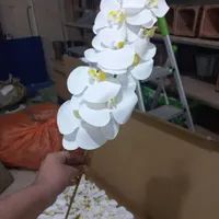 ارکیده خارجی(پک 4شاخه ای)