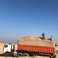 کاه نیشکر خشک مناسب دام بصرفه|حیوانات مزرعه|یاسوج, |دیوار