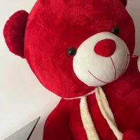 خرس دومتری قرمز