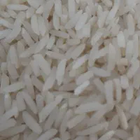 فروش برنج هاشمی درجه یک