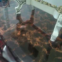 سرویس نهارخوری کارکرده ۶نفره|میز و صندلی غذاخوری|ماکو, |دیوار