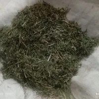 یونجه خرد شده