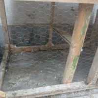 قفس|لوازم جانبی حیوانات|تربت‌حیدریه, بالا ولایت|دیوار