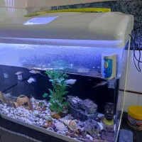 آکواریوم دلسا با ماهی و لوازم