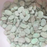 باقله درشت|عمدهفروشی|هرسین, |دیوار