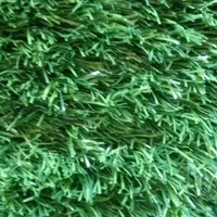 فروش و نصب چمن مصنوعی 17 میل درجه یک|مصالح و تجهیزات ساختمان|تهران, گمرک|دیوار