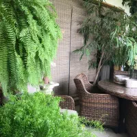 ویو ابدی /۱۷۷ متر/تاپ لوکیشن/۲۳ میلیارد