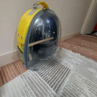 کیف حمل پرنده