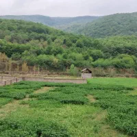 فروش ویژه ی ویلای نوساز در سوادکوه|فروش خانه و ویلا|زیرآب, |دیوار