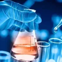 آموزش خصوصی زبان نهایی دوازدهم|خدمات آموزشی|ارومیه, |دیوار