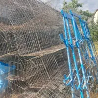 قفس مرغ تخمگذار