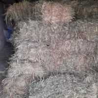 خسیل همون غذای گاه و گوسفند ۱۷۰ بسته