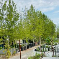 زمین قابل ساخت مدارک کامل با کمترین پیش پرداخت