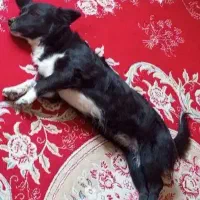 فروش به دلیل نداشتن مکان برای نگهداری