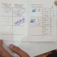 سگ پامر|سگ|مسجد سلیمان, |دیوار