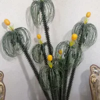 گاوصندوق موتور فرش کت کاپشن پیراهن گفش گلدان قهوه|حراج|اهواز, بهارستان|دیوار