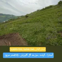فروش مزرعه گل گاوزبان در گیلده گردنه حیران.