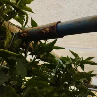 فروش سازه گلخانه