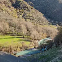 خونه باغی