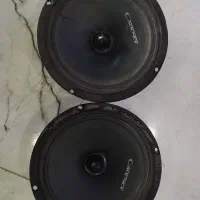 باند کامپونت