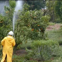 سمپاشی و هرس درختان و ضدعفونی منازل و اماکن