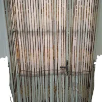 پرده مهره ای