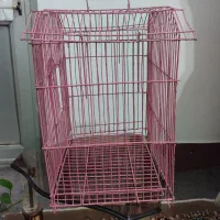 قفس کوچک پرنده|لوازم جانبی حیوانات|بهشهر, |دیوار