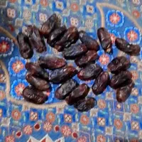 خرما|حراج|خاش, |دیوار