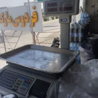 فروش ترازو فروشگاهی