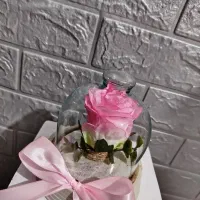 گل رز|گل مصنوعی|ساوه, |دیوار