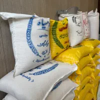 برنج نژاد اصیل هاشمی (گیلان)جایگزین برنج‌های خارجی