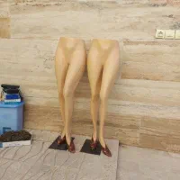 پرو خانه و مانکن|فروشگاه و مغازه|زنجان, |دیوار