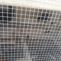 قفس مرغ|لوازم جانبی حیوانات|بروجن, |دیوار