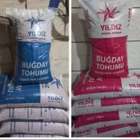 بذر هیبریدی گندم محصول اوکراین