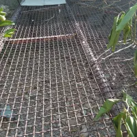 تخت|تخت و سرویس خواب|لیکک, |دیوار